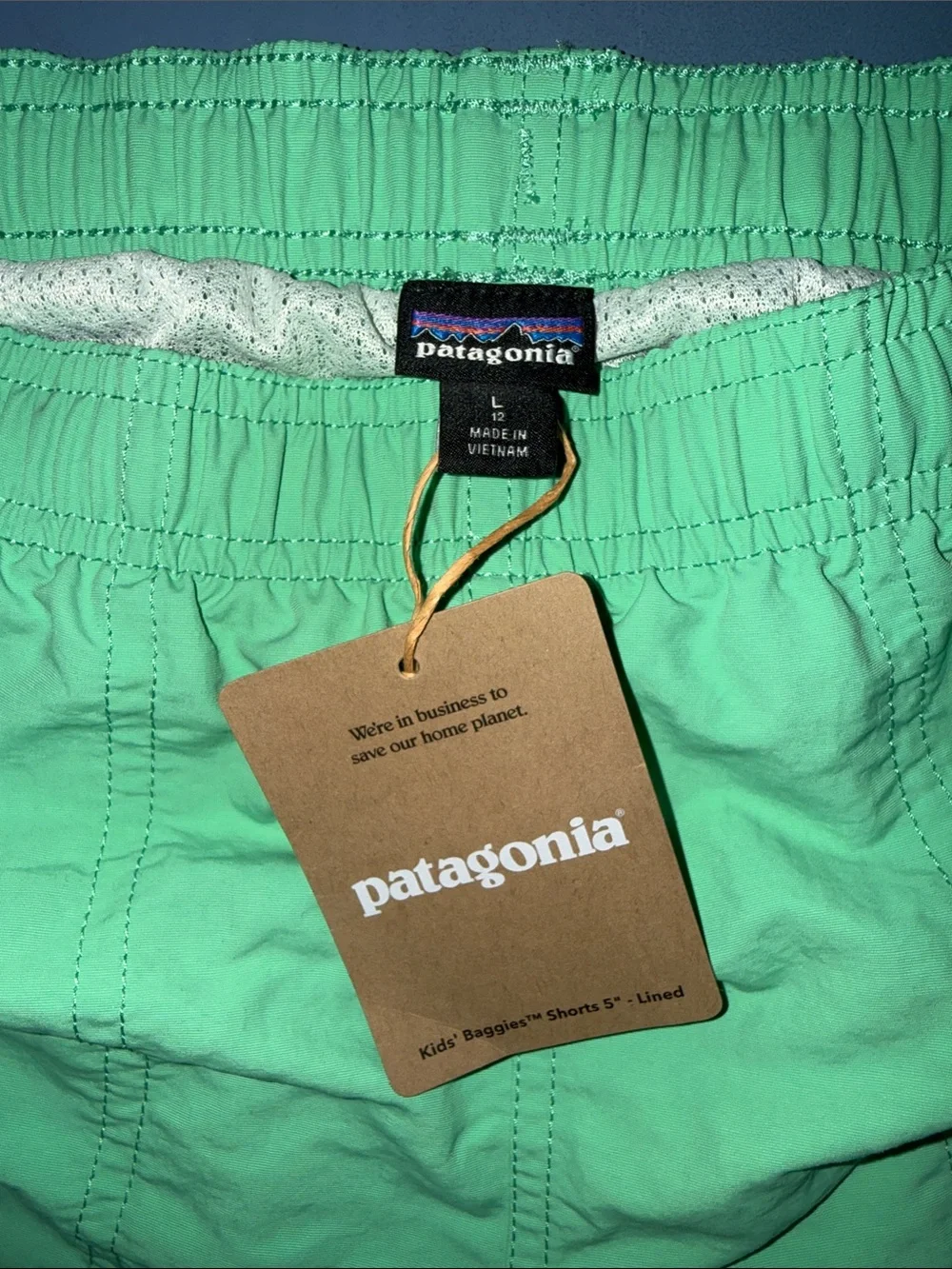 Patagonia Kids Mint Green Swim Shorts